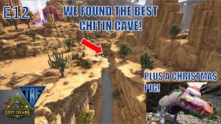 The Best Chitin Cave amp Artifact of the Brute E12 Lost Island  New Ark DLC  Ark Survival Evolved [upl. by Erkan839]