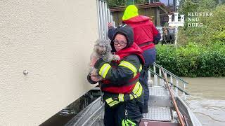 Hochwasser 2024 Klosterneuburg [upl. by Ahtnama]