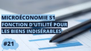 Fonction d’utilité pour les biens indésirables  microéconomie S1 [upl. by Nwahsir284]