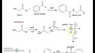 SYNTHESIS OF HIPPURIC ACID [upl. by Ayaj]