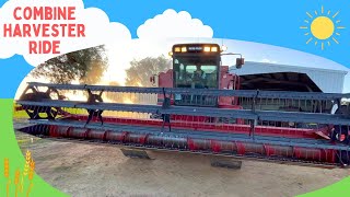 Lets Ride On The Combine Harvester  Farm amp Tractor Videos For Kids [upl. by Benedikt]