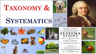 Taxonomy  Systematics  Carolus Linnaeus  Part 1 [upl. by Nwahsek]