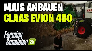 LS25 Mais Anbauen ernten und Verkaufen  Claas Evion 450 [upl. by Pownall693]