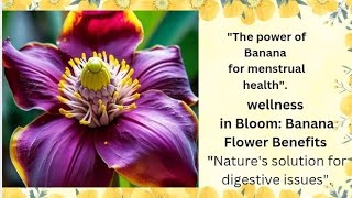 WELLNESS IN BLOOM BANANA FLOWER BENEFITS [upl. by Euphemiah]