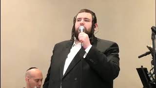 Shmueli Ungar Live With The A Team At A Wedding [upl. by Draw]