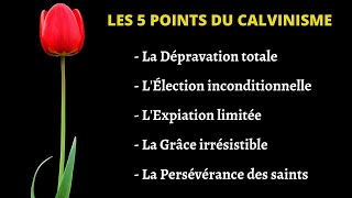 Les 5 points du calvinisme [upl. by Aztin]