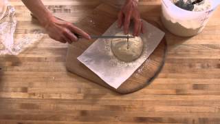 GlutenFree Bread in Five Minutes a Day The Video 2015 [upl. by Klein647]