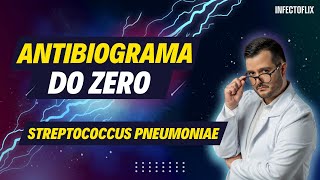 Dominando Antibiogramas do Zero  Streptococcus pneumoniae [upl. by Eelorac767]