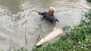 Amazing Grandpa FISHING Battle With 75KG MASSIVE Arapaima [upl. by Yror]