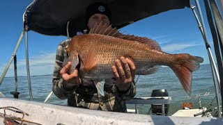 FISHING SNAPPER AT WESTERN PORT  2024 [upl. by Costin]