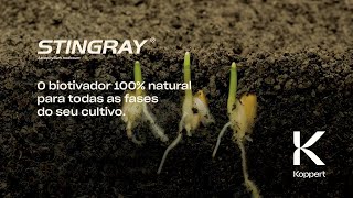 Stingray Ascophyllum nodosum O biotivador 100 natural para todas as fases do seu cultivo [upl. by Pardew]