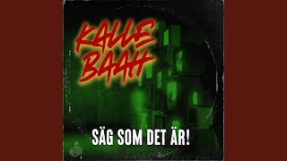 Säg Som Det Är [upl. by Just]