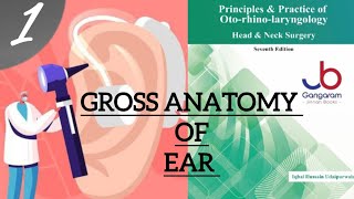 ANATOMY OF EAR PART1 ENT LECTURES [upl. by Nitsur]