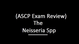 Neisseria spp ASCP Exam Review [upl. by Ayocat]