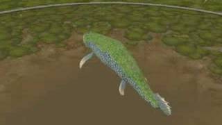 Tiktaalik [upl. by Llecrup]