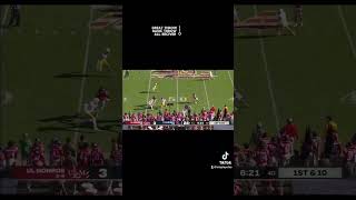 All Touchdowns Thrown By Spencer Sanders Ole Miss 20232024 collegefootball football ncaaf nfl [upl. by Oidiple]