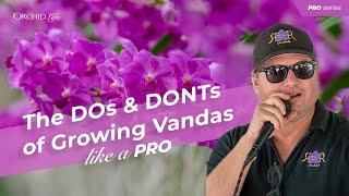 The DOS And DONTs Of Growing Vandas [upl. by Inanak]