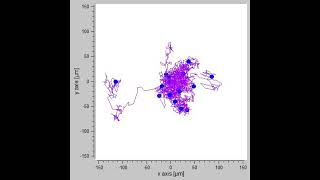 Myosin 6 in breast cancer cells – Video S3 479151 [upl. by Anjela]