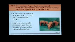 Biology Help BIO 123 Chapter 11 and 12 Cloning A Light Overview [upl. by Carlton]