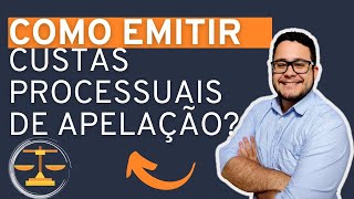 COMO EMITIR AS CUSTAS PROCESSUAIS DE RECURSO DE APELAÇÃO PREPARO RECURSAL TJSP [upl. by Sorci]