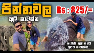 VISIT SriLankas Most FAMOUS Pinnawala Elephant Orphanage  පින්නවල අලි අනාතාගාරය 🐘 [upl. by Ilesara]