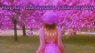 Hadise  Hay Hay Lyrics [upl. by Easlehc681]