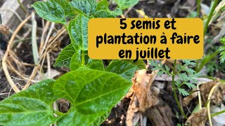 Plantation et récolte en juillet [upl. by Uolymme]