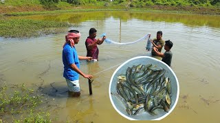 পুকুর থেকে টাটকা দেশি মাগুর ধরে রান্না করে খাওয়া  Fishing and cooking  village cooking vlog [upl. by Nesnah438]