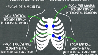 Semiologia médica Ausculta cardíaca [upl. by Primavera463]