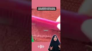 CARA MENGHILANGKAN BULU MENGGUMPAL PADA SWEATER diy lifehacks diyhacks craft kreasi [upl. by Lrae]