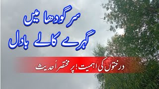 Weather update in Sargodha Punjab Pakistan  The Importance of Shahjjar Kari MTM Tv [upl. by Llenod]