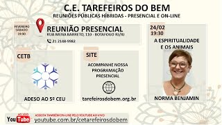 A espiritualidade e os animais  Palestrante Norma Benjamin [upl. by Wadesworth]