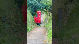 大分の風景 田舎の風景 oita jr kyushu 大分県 汽車 神社 [upl. by Lramaj]