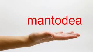 How to Pronounce mantodea  American English [upl. by Pelletier966]