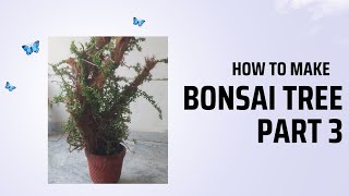 How to make bonsai plant part3 [upl. by Connie]