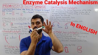 Mechanism of Enzyme Catalysis Four Main Mechanism of Enzyme catalysis Detailed Discussion In ENGLISH [upl. by Adnot]