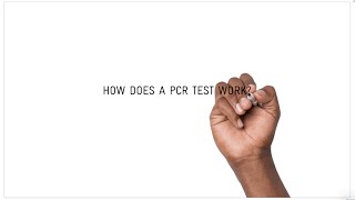 How does a COVID19 PCR test work [upl. by Pearman45]