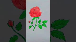 🌹 Beautiful red rose flower colouring rose love flowers 🌹 [upl. by Anerrol]