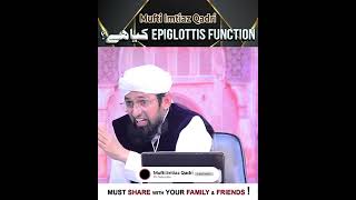 What is Epiglottis Function  Epiglottis  Function  Learn  Mufti Imtiaz Qadri [upl. by Joab]