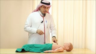 Pediatric Cardiovascular Assessment Physical Examination  Dr Zaher Faisal Zaher [upl. by Oric]