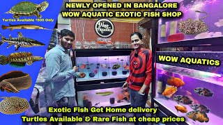 Wow Aquatics Aquarium Fish Shop In Bangalore NEWLY OPENED Exotic Fish amp Turtles Available [upl. by Taggart]