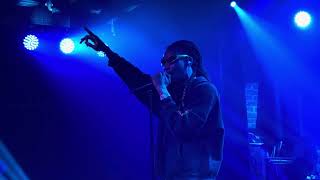 Wiz Khalifa  Indica Badu Live [upl. by Veriee]