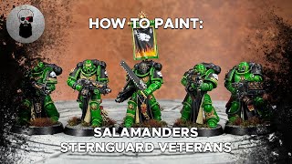 Contrast How to Paint Salamanders Sternguard Veterans [upl. by Higginbotham]