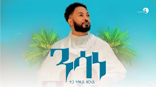 Tesfay Zeray  Nsane  ተስፋይ ዘርኣይ  ንሳነ  New Tigrigna Music 2024 Official Video [upl. by Tanney]