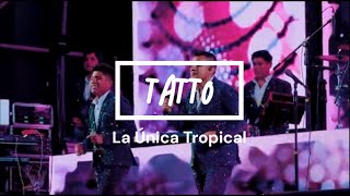 Tattoo  La Única Tropica VIDEO letra [upl. by Alleciram553]