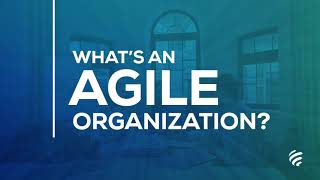 Whats An Agile Organization Check out its Benefits and Top Trends [upl. by Grenier]