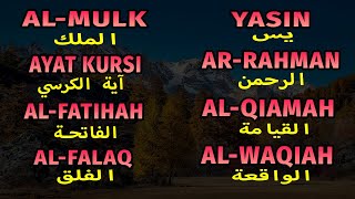 SURAH AL MULK AL BAQARAH AL KAHFI AL FALAQ YASIN AR RAHMAN AN NABA AL QIAMAH AD DUQAN [upl. by Einberger621]