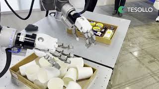 ROBOTIC HANDS Are Changing the Game with Precision Like This [upl. by Cynde400]