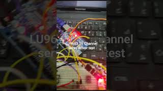 LU9685 16 channel pwm servo control test [upl. by Julina]