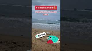 Science of hermit crabs 🦀 hermitcrab gcse igcse tutor science education travel beach beauty [upl. by Lombardy]